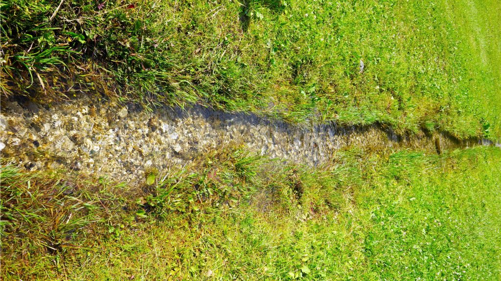 Effective Strategies to Prevent Yard Erosion