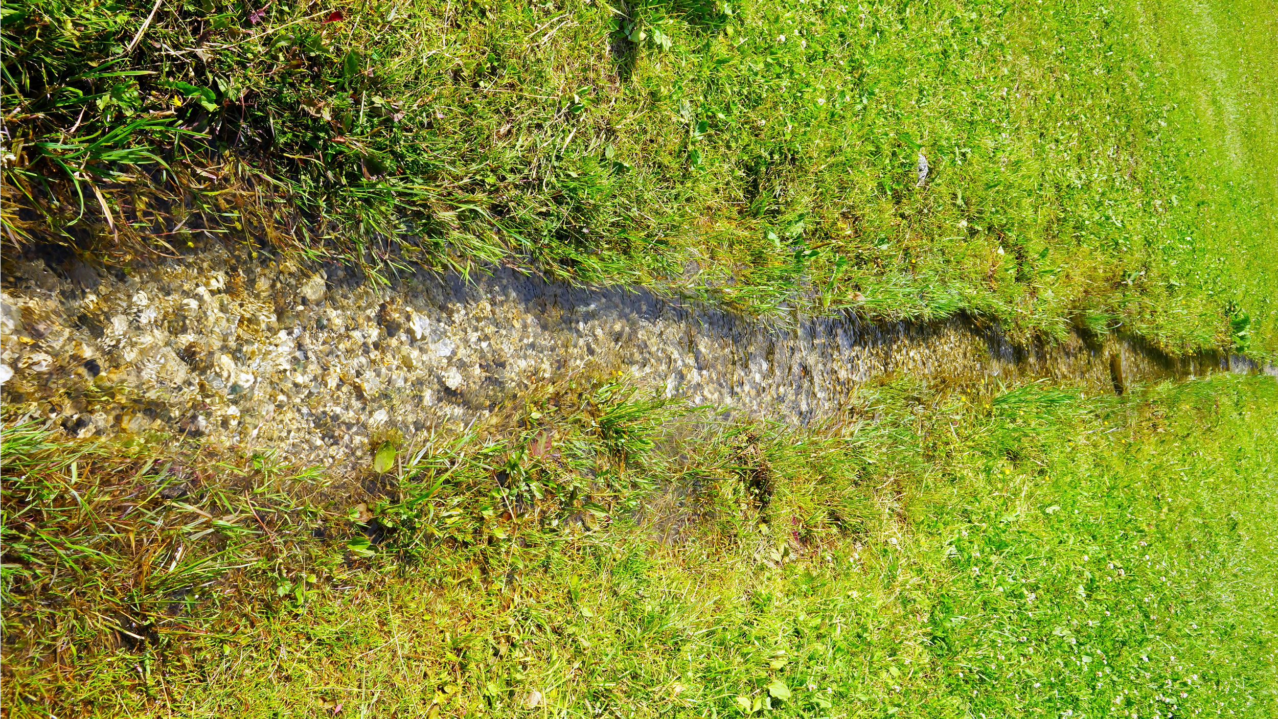 Effective Strategies to Prevent Yard Erosion