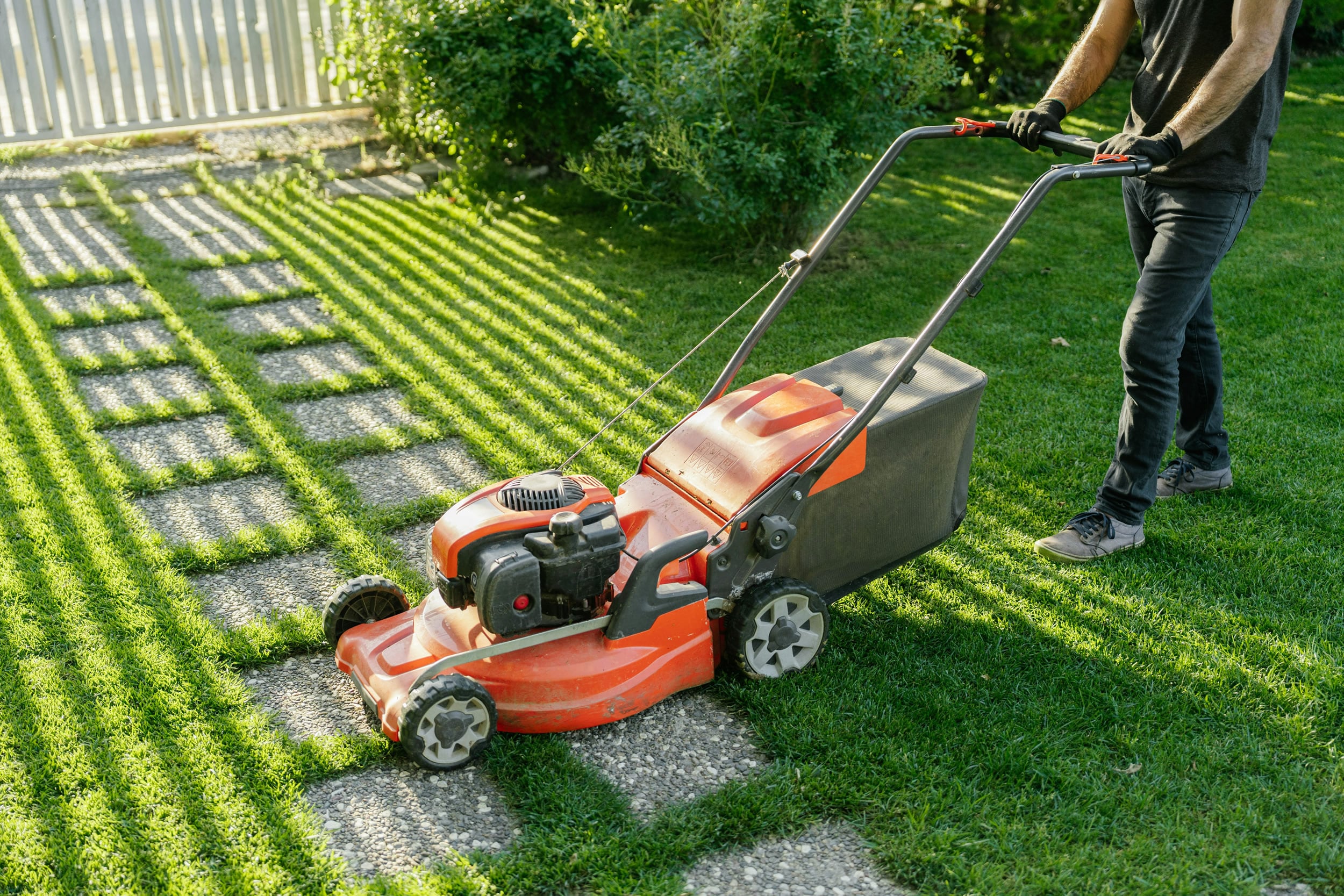 How Often Should You Mow Your Lawn for a Perfect Yard?