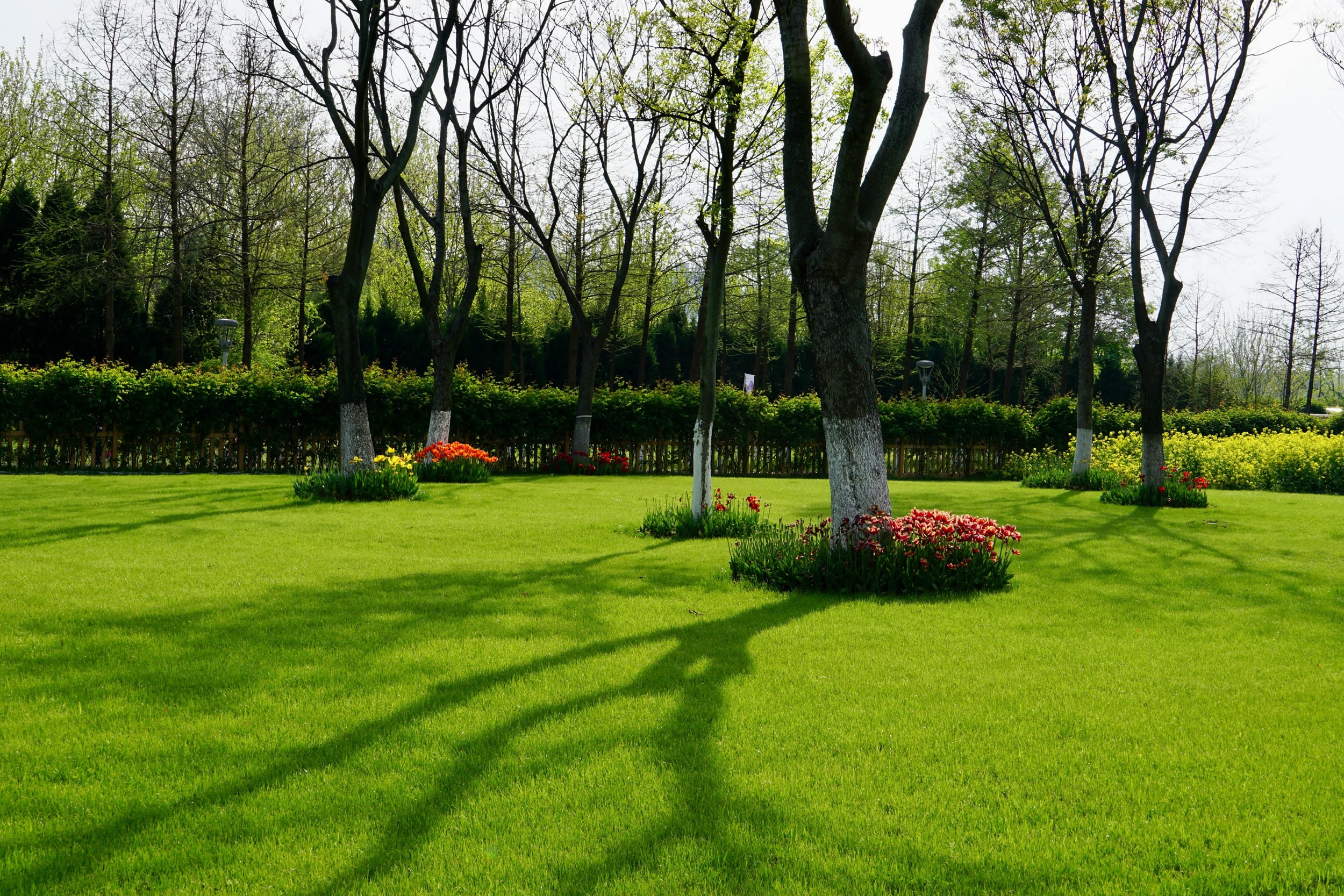 Affordable Landscaping Services in Liberty, MO: Your Guide to a Beautiful Yard