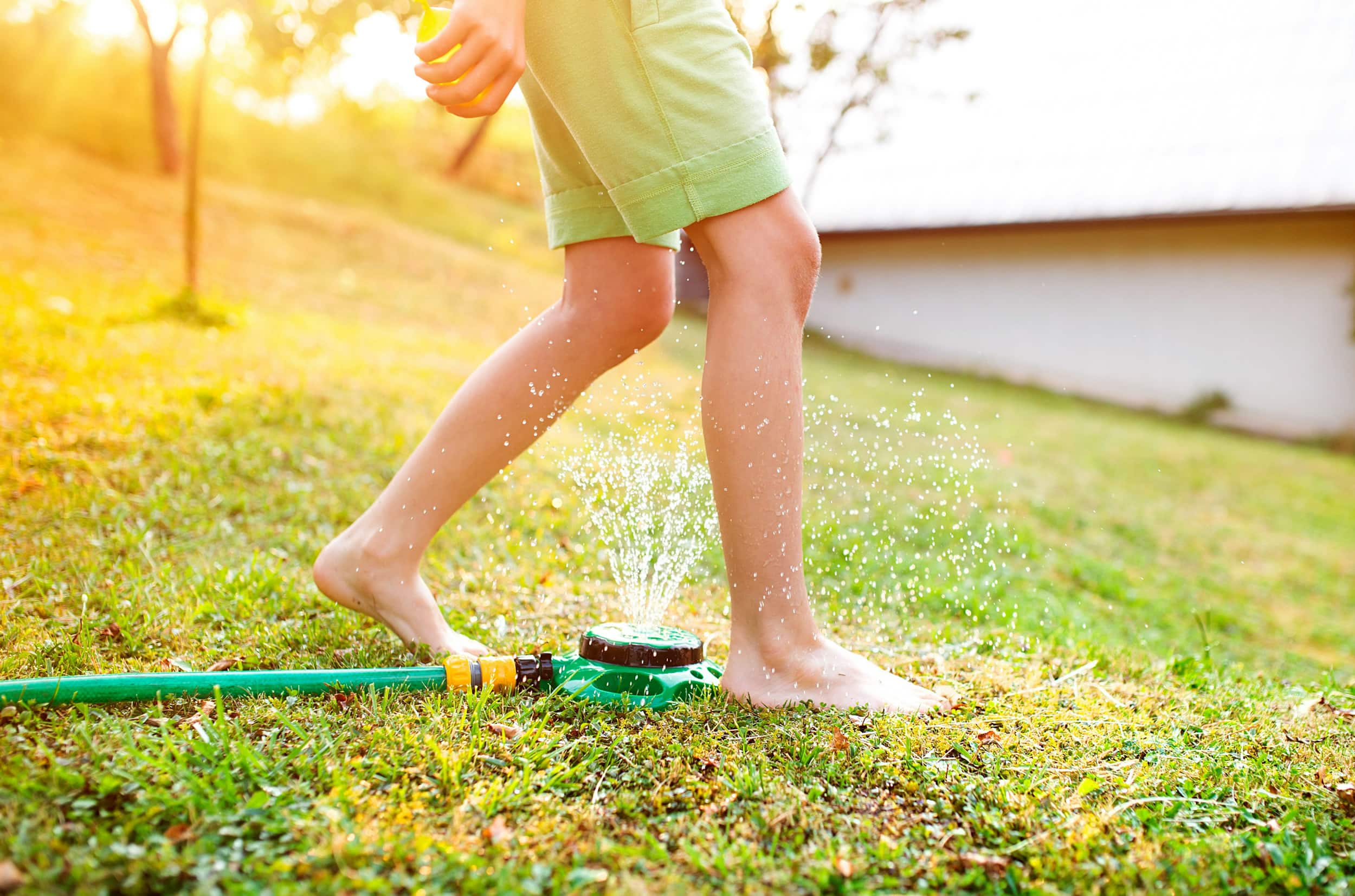 Maximizing Water Efficiency: A Guide to Smart Irrigation Systems