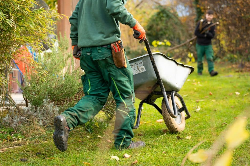 Affordable Landscaping Services in Gladstone, MO