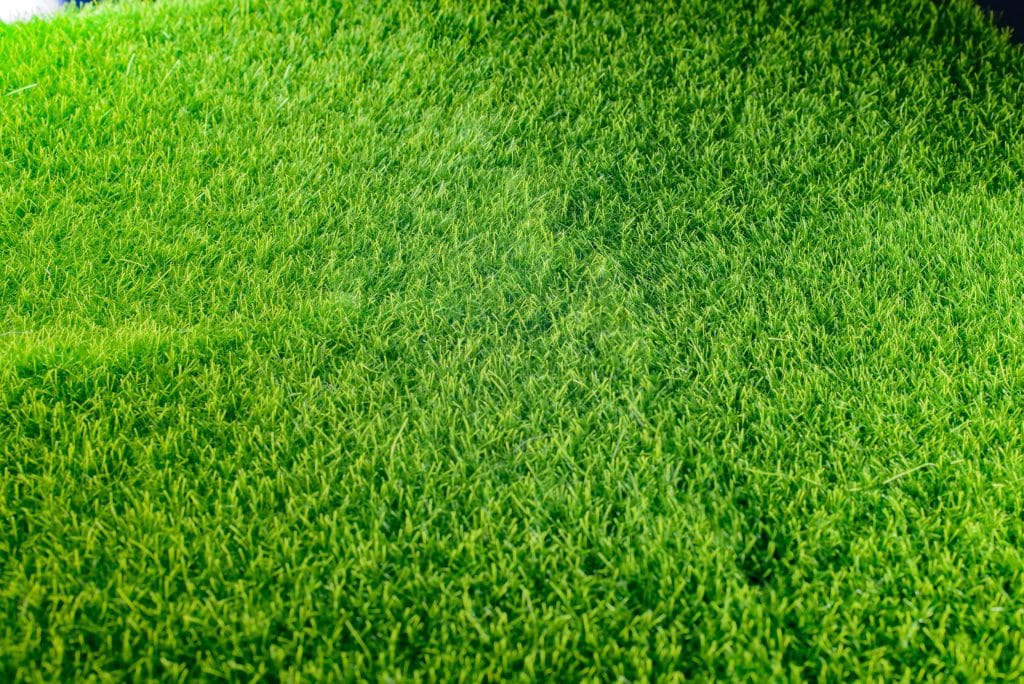 The Ultimate Guide to Effective Lawn Fertilization