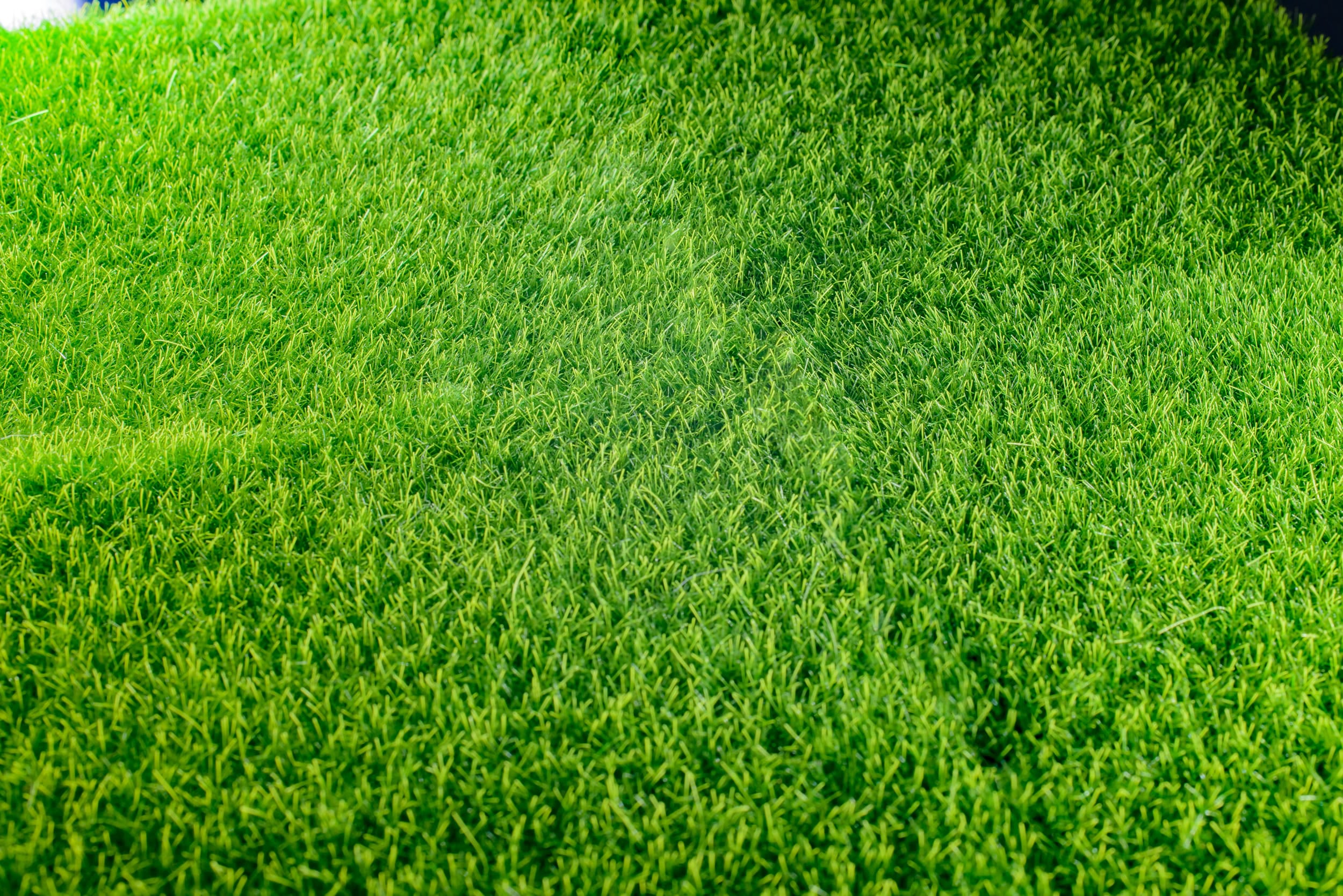 The Ultimate Guide to Effective Lawn Fertilization