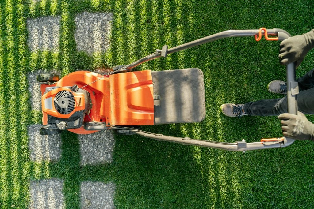 The Ultimate Guide to Expert Lawn Maintenance Services