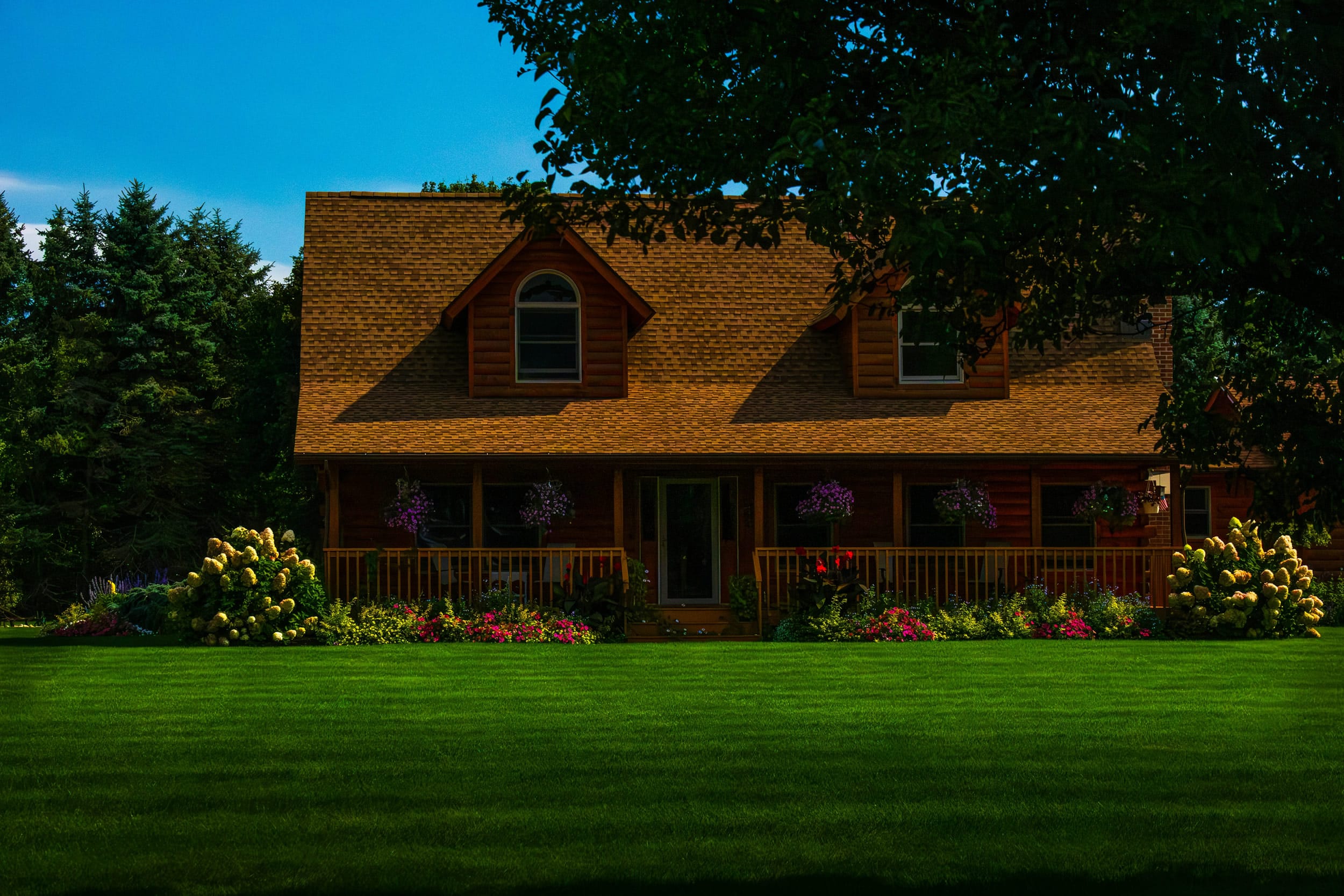Top Grass Varieties for a Lush Lawn in Kearney, MO
